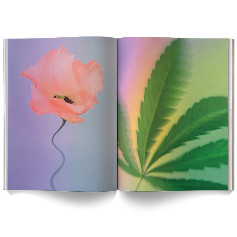 A Weed Is A Flower Book - ONFEMME By Lindsey's Kloset