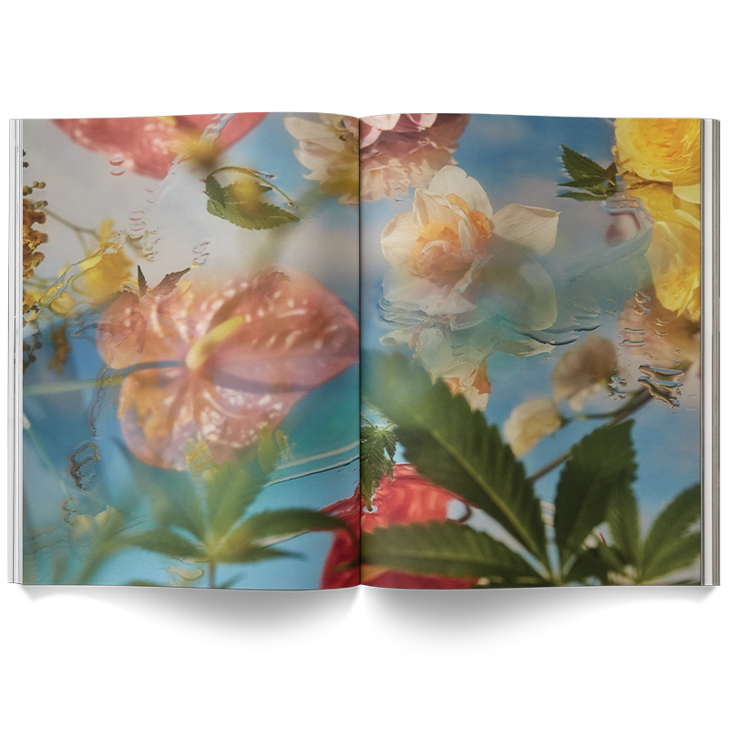 A Weed Is A Flower Book - ONFEMME By Lindsey's Kloset