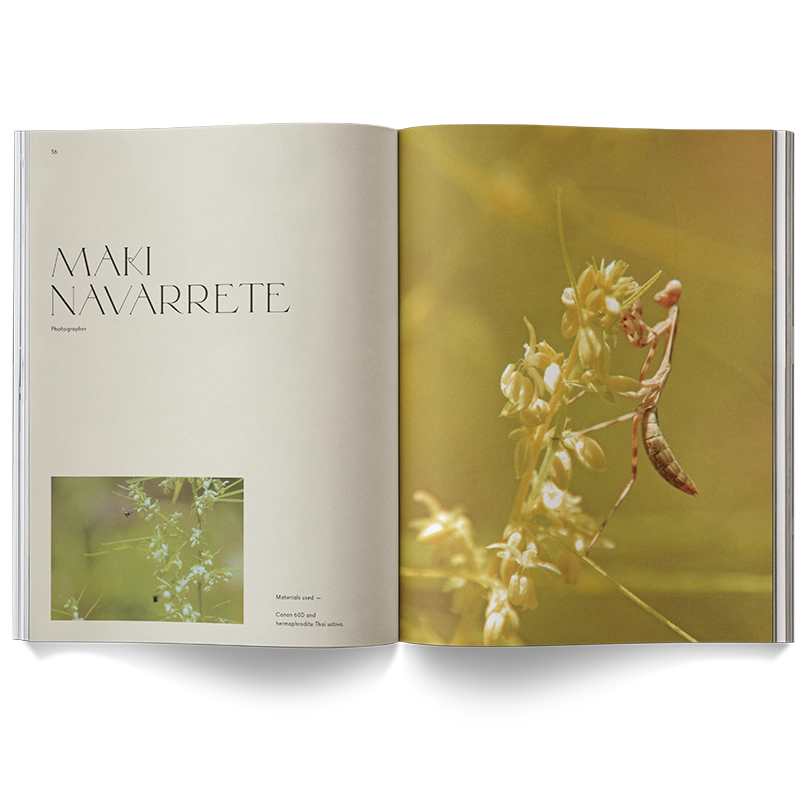 A Weed Is A Flower Book - ONFEMME By Lindsey's Kloset