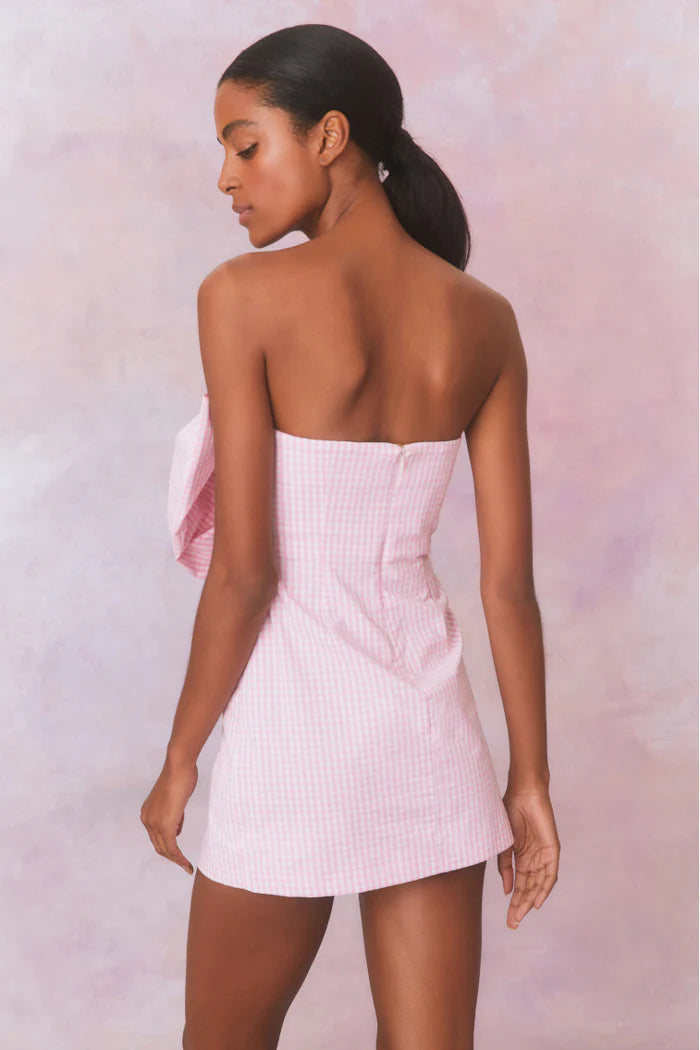 Bellica Gingham Mini Dress - ONFEMME By Lindsey's Kloset