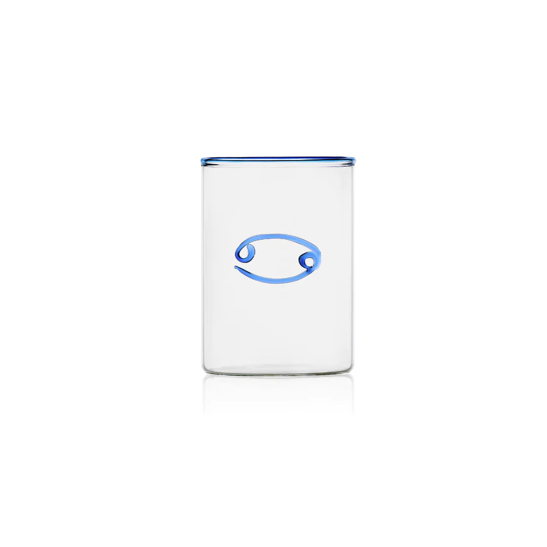 Zodiac Lowball Glasses - ONFEMME By Lindsey's Kloset