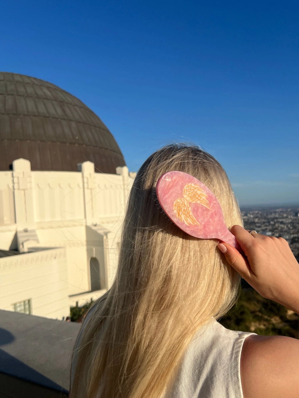 Angel Wings Amazing Hair Day Brush