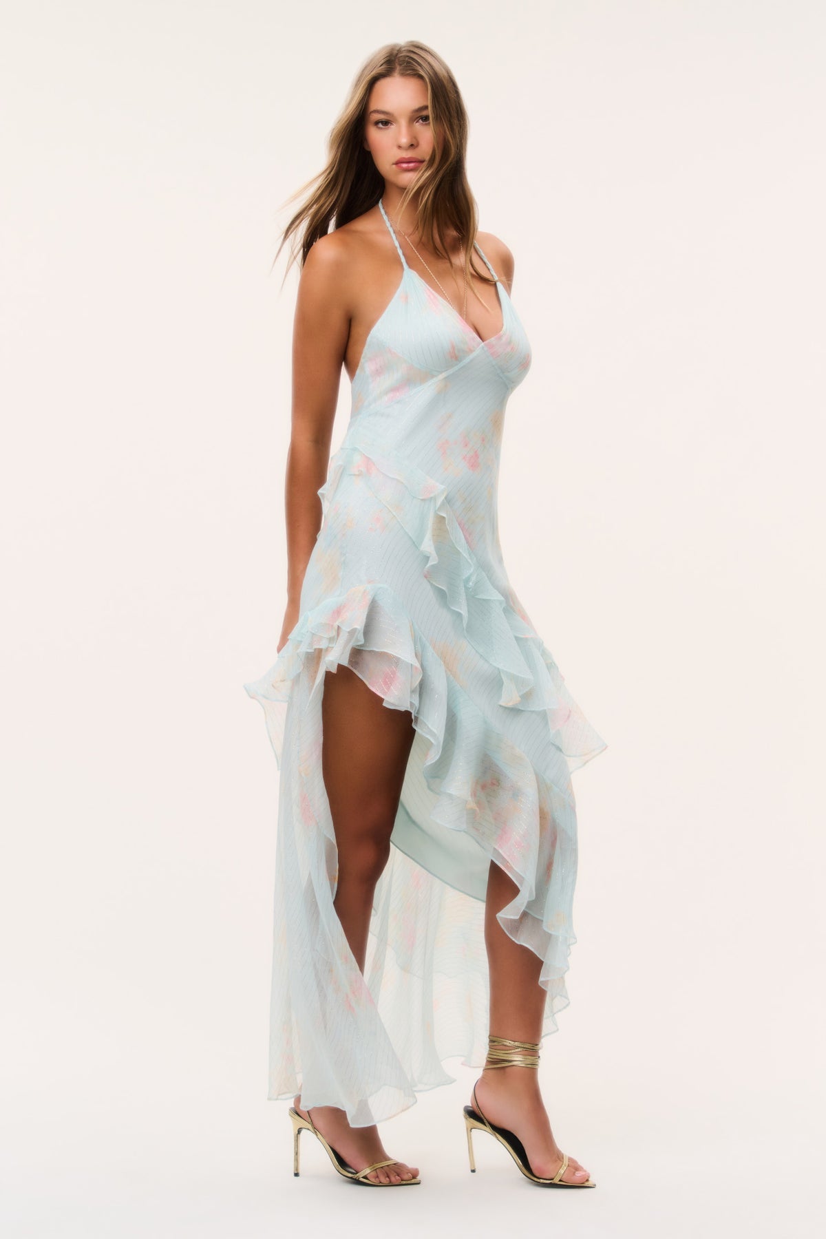 Vailo Floral Silk Chiffon Dress