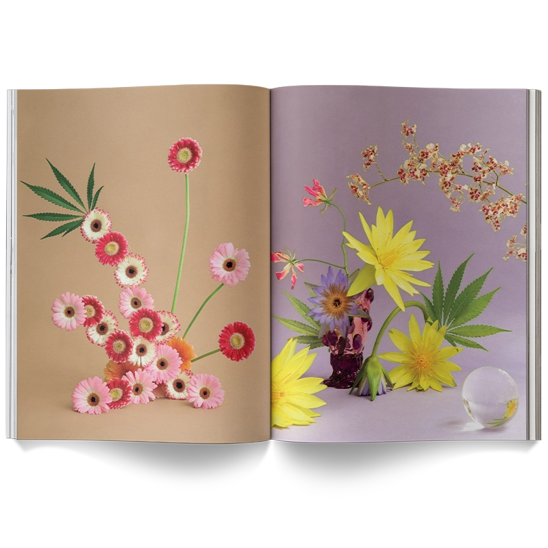 A Weed Is A Flower Book - ONFEMME By Lindsey's Kloset