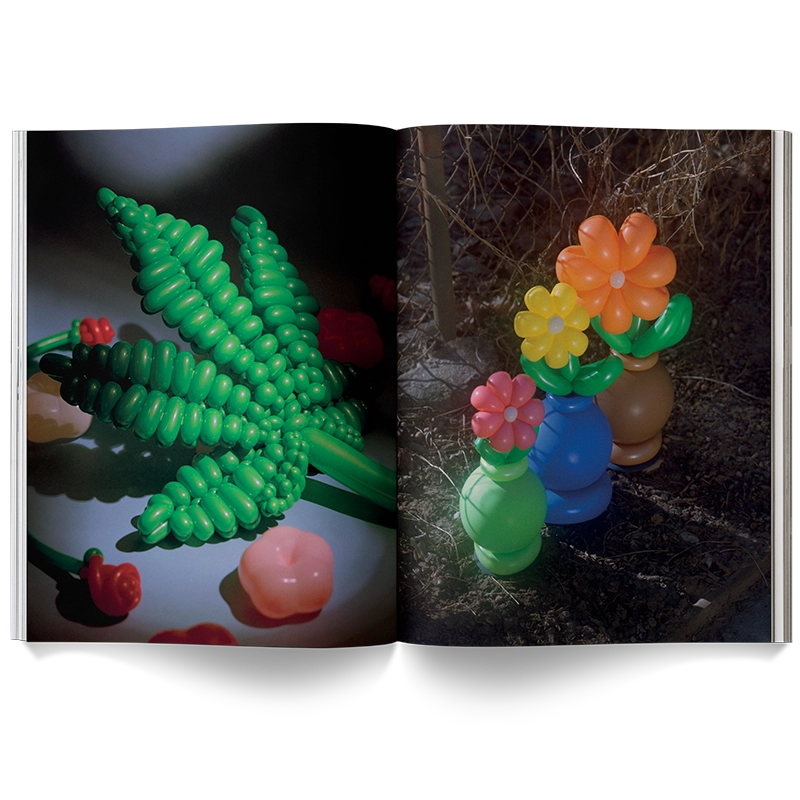 A Weed Is A Flower Book - ONFEMME By Lindsey's Kloset