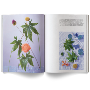 A Weed Is A Flower Book - ONFEMME By Lindsey's Kloset