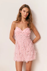 Ambessa Embellished Organza Mini Dress