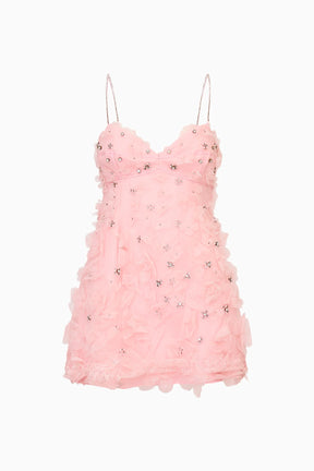 Ambessa Embellished Organza Mini Dress