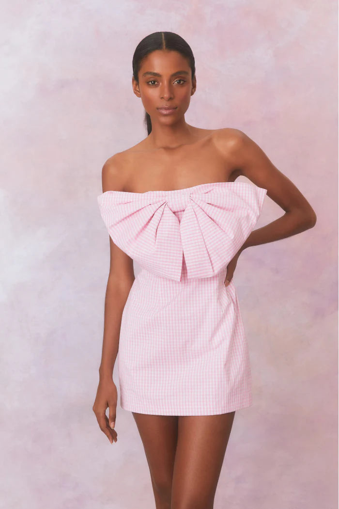 Bellica Gingham Mini Dress - ONFEMME By Lindsey's Kloset