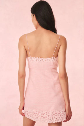 Meva Tweed Lace-Trimmed Mini Dress - ONFEMME By Lindsey's Kloset