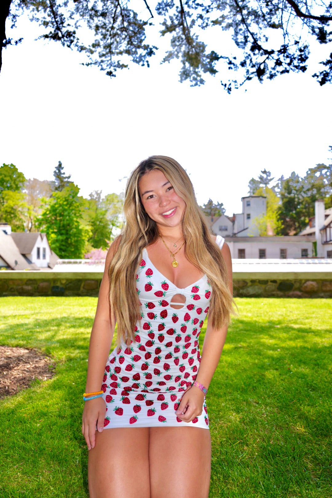 Strawberry Mini dress - ONFEMME By Lindsey's Kloset