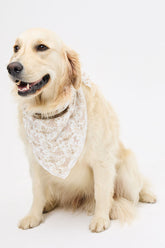 Heidi Head Scarf - ONFEMME By Lindsey's Kloset