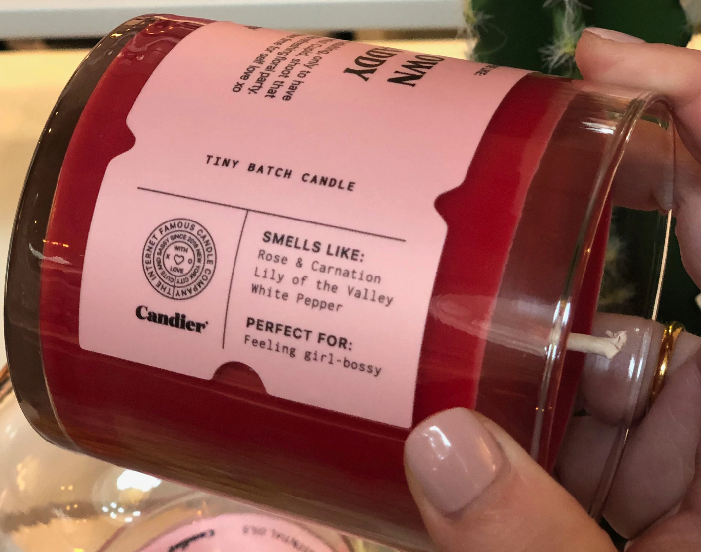 Sugar Daddy Candle - ONFEMME By Lindsey's Kloset