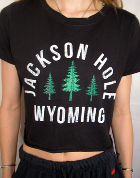 Jackson Hole Crop Top - ONFEMME By Lindsey's Kloset
